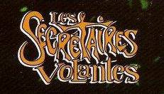 logo Les Secrétaires Volantes